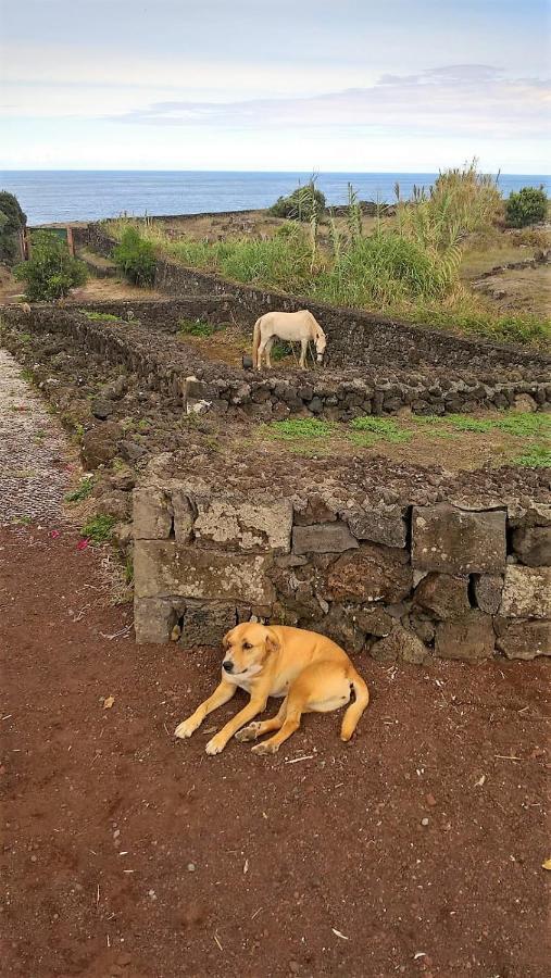 Quinta Da Falesia - Casa Branca Ponta Delgada Zewnętrze zdjęcie