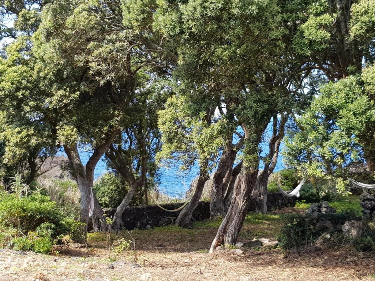 Quinta Da Falesia - Casa Branca Ponta Delgada Zewnętrze zdjęcie